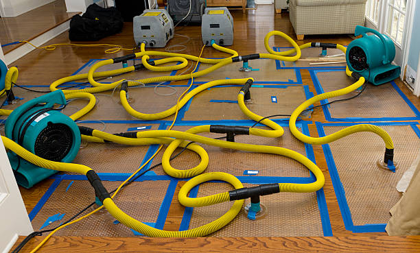 Professional Structural Drying And Dehumidification technician working in East Greenwich, RI